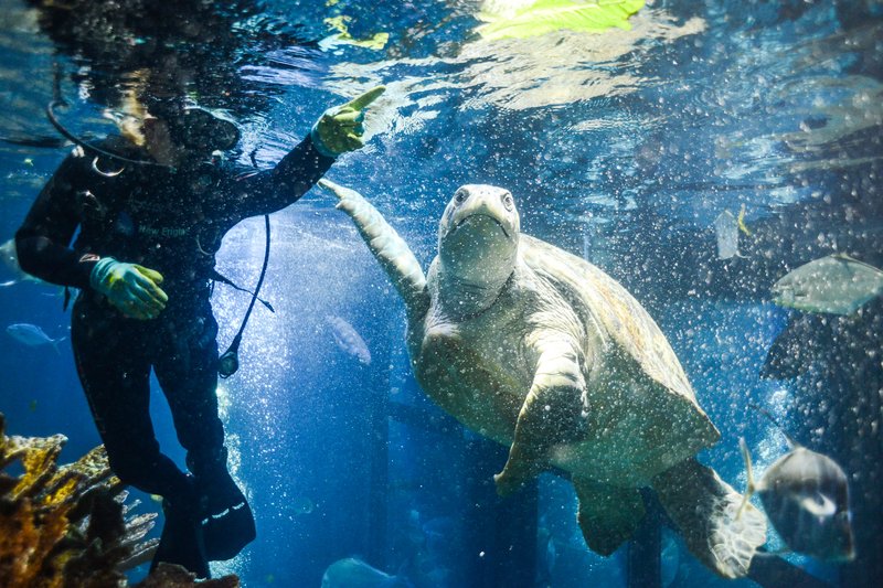 eee89f11-fd0a-44c2-a13d-ab4a6c84bbe4