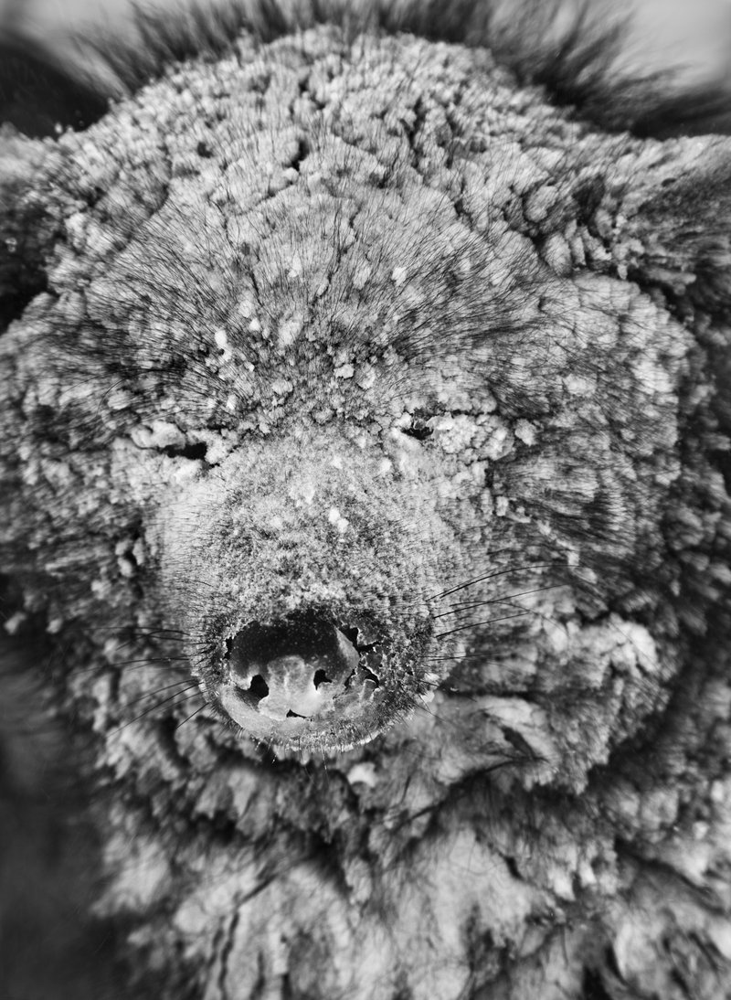 510feb24-1c3a-4853-86cc-dfdd7c69dcd4