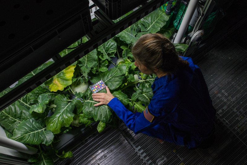 76fe2cc3-0b48-450d-b940-9bd3df0fe578