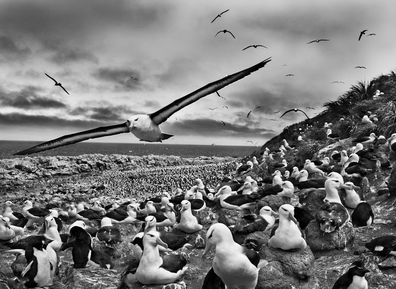 c204cf29-a8e4-45a1-86cf-22d31159083c