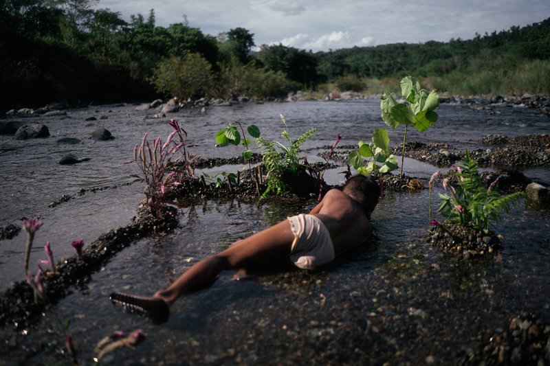 8d0a058f-0e86-4ae5-b15d-58d3912ef788