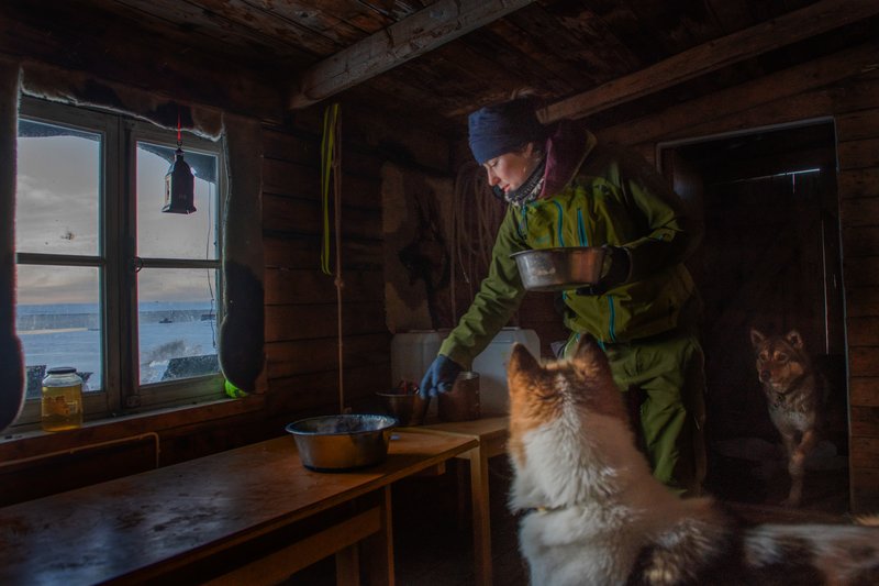 65b86d97-bcd5-4b82-9d2e-6461fc6fbf16