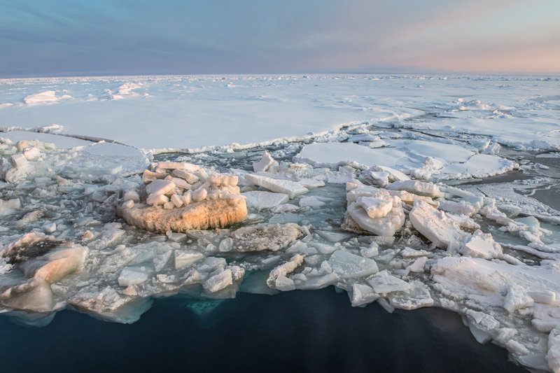 8c9ccfda-99fc-4aad-a2e0-adc8fca85244