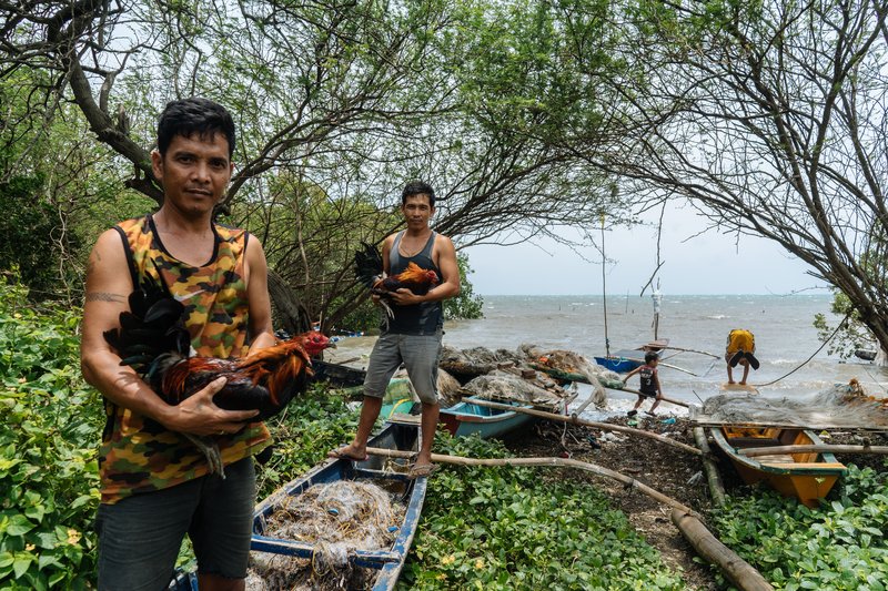 50476bf4-e1eb-4f57-a2f0-25be4a4947ef