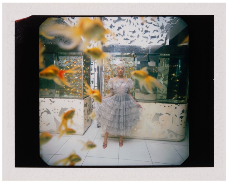 1f02d5af-6b70-4fd8-855f-01d70e0b6081