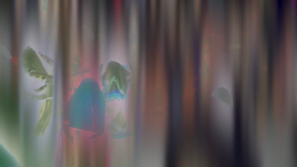 ed067458-1234-42f4-9a0f-48002f4f136d
