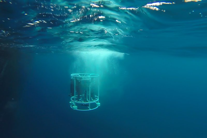 f2bb765c-60c3-4d08-9f98-84ce93886032