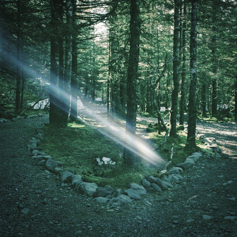 925bd5da-0c5b-48f7-bdf6-0dfe79bb9725