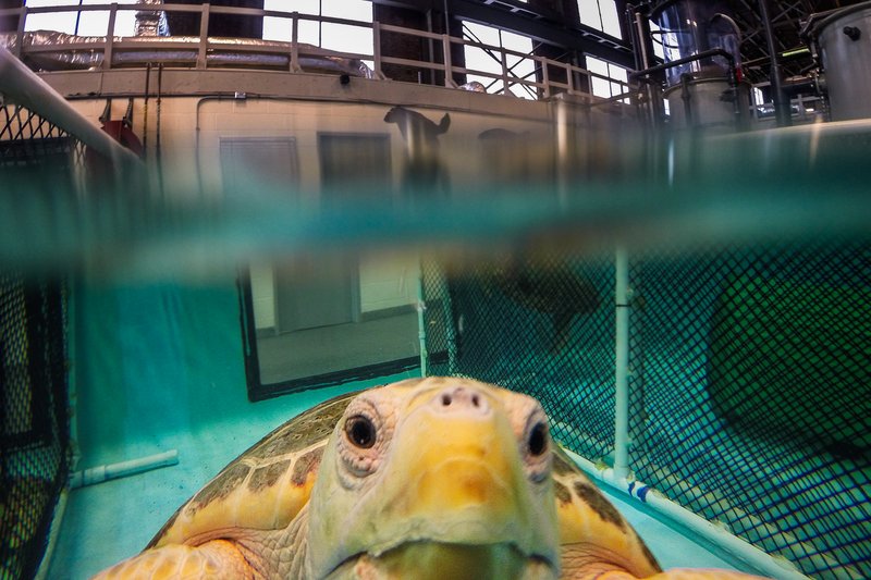 c1a43daf-da4d-4dd9-9053-1990ade808b0