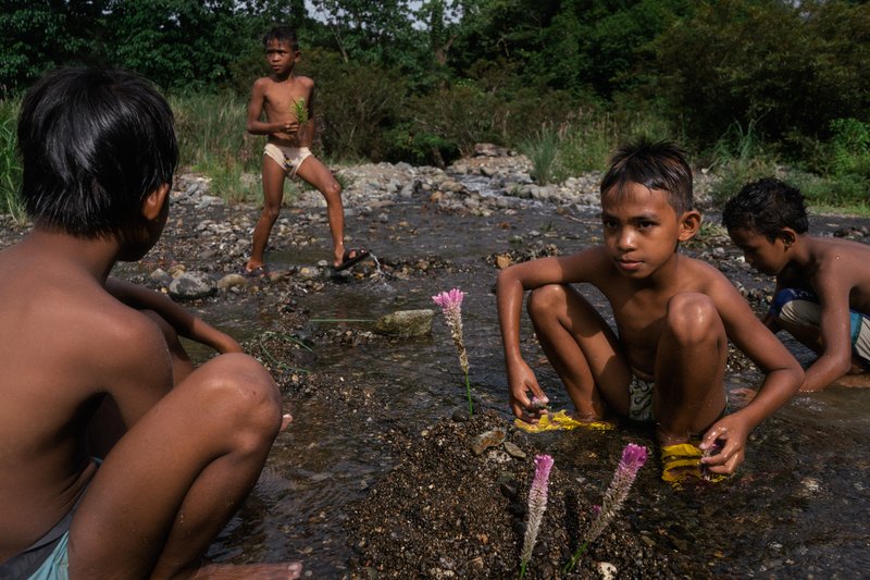 afa165b5-e610-4eaf-bad7-b1644d3a40bb