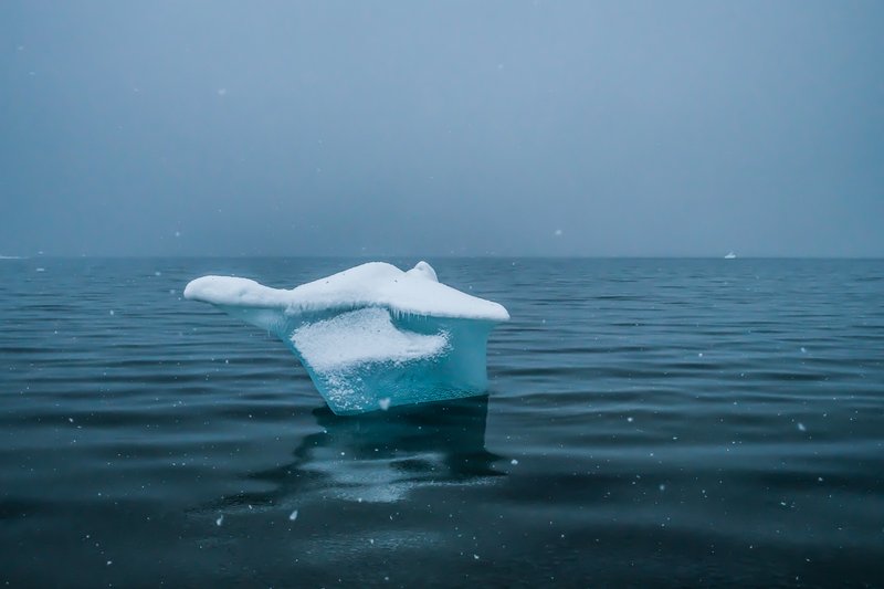 103069f0-1c06-47c4-8736-d2bcb3686243