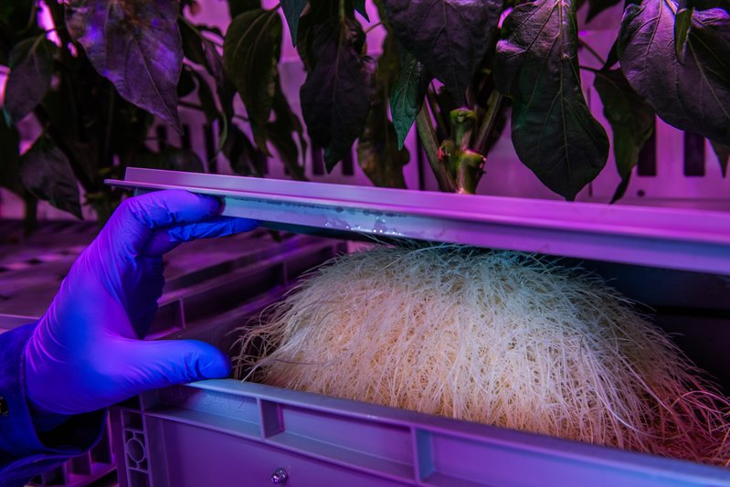 a552d0a6-49c4-4a97-b52d-0ca4e1db9fe1