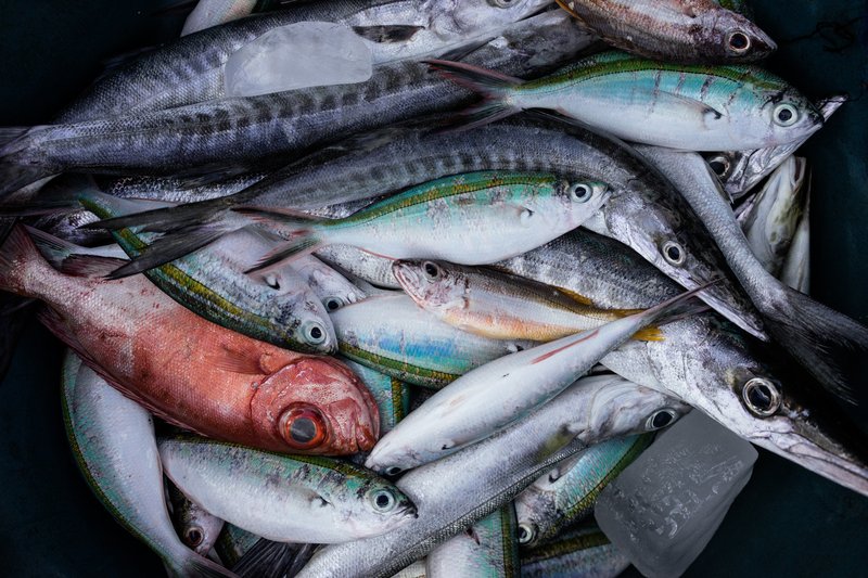 334955c5-c5e5-4c5e-b1ba-aba278b8b85f