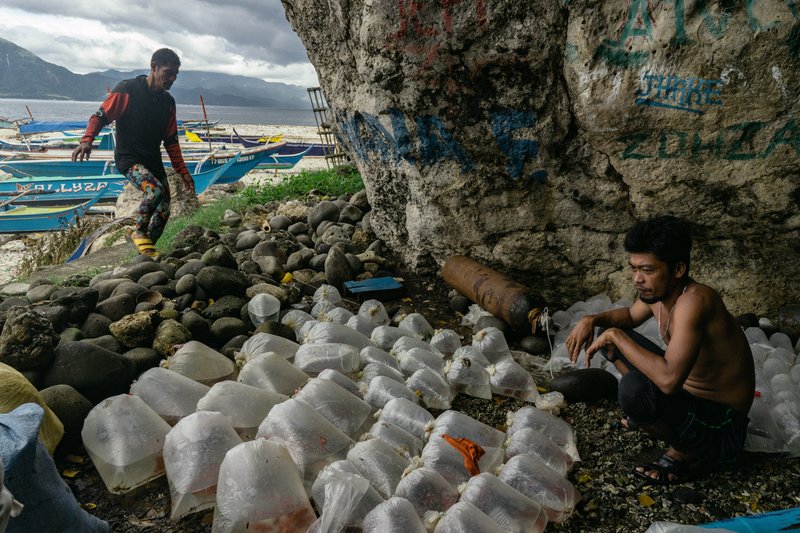 ed5ec690-c0f3-4903-8ab5-dfffeb518d4b