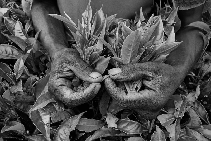 9459a9db-bbad-4d36-aef5-ffb9f6eccc4f