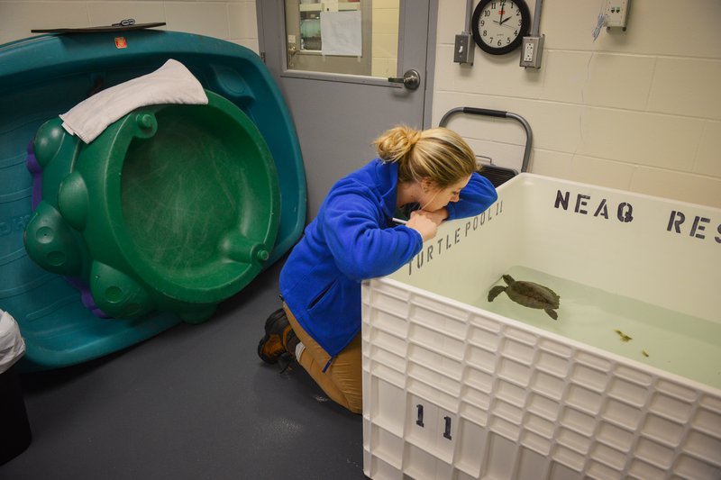 c81e1fc4-8f0f-40d0-b649-571a3d21af0f