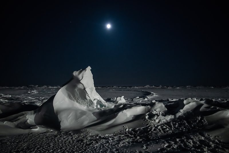 03fe1ac7-b195-4c5c-bf53-1d589b475365