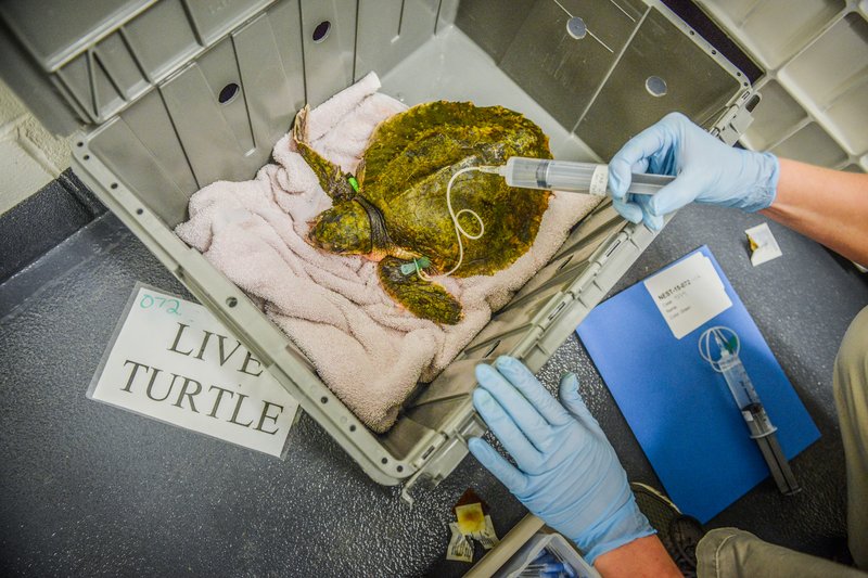 55c6f2fe-a09e-4f87-8ccb-a611973f4d2d