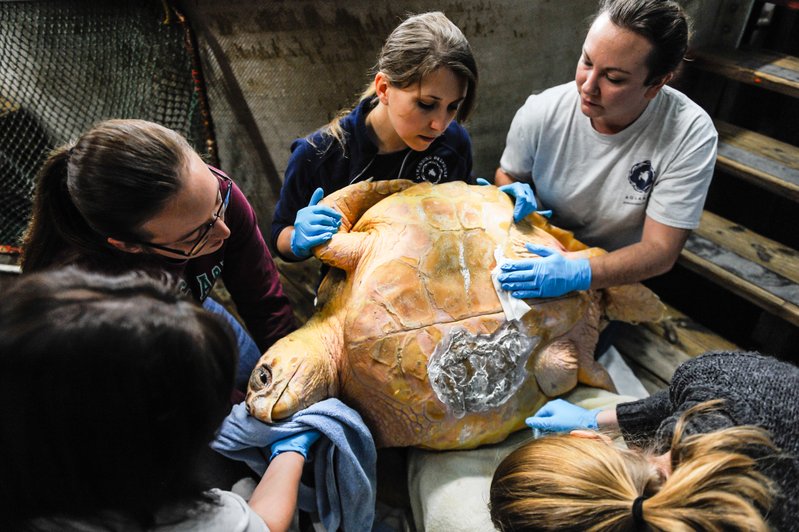 7d43621f-f490-4566-b14c-248a0541250e