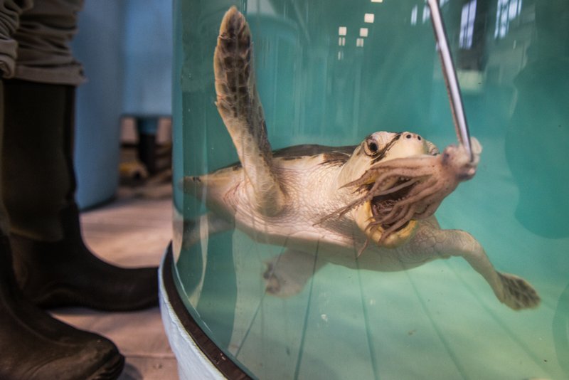 6191b666-216c-44a7-9380-abdf2b291a85