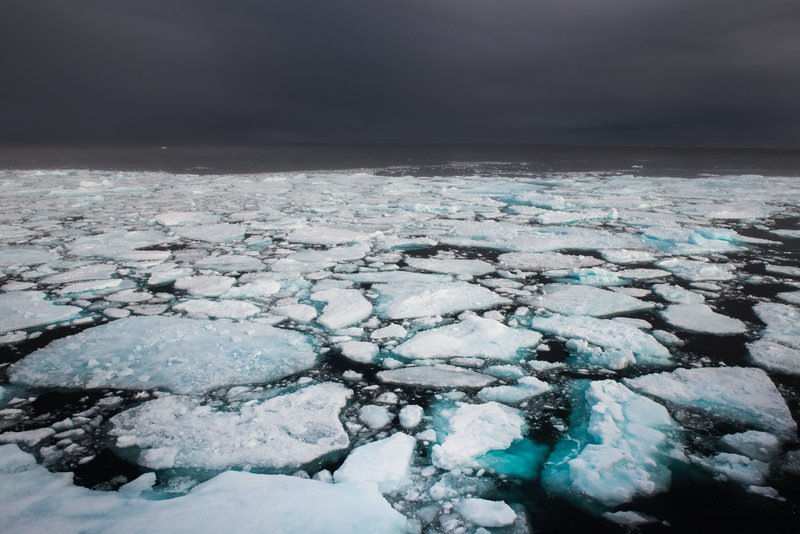 0f153c8a-ddcd-452a-a579-9ecc35d650a8