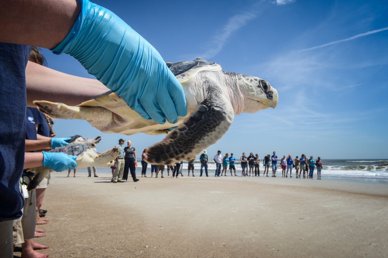 8043f856-579b-4840-ba5e-edd40ff8b660