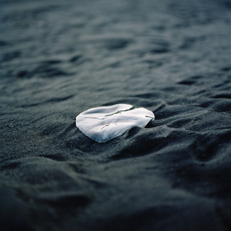 efdf7325-847c-41aa-8486-bde912869c7d