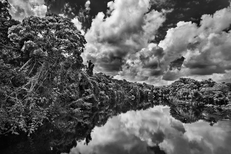 bdf1231b-e6f9-49e5-8e1e-6274279d2b44