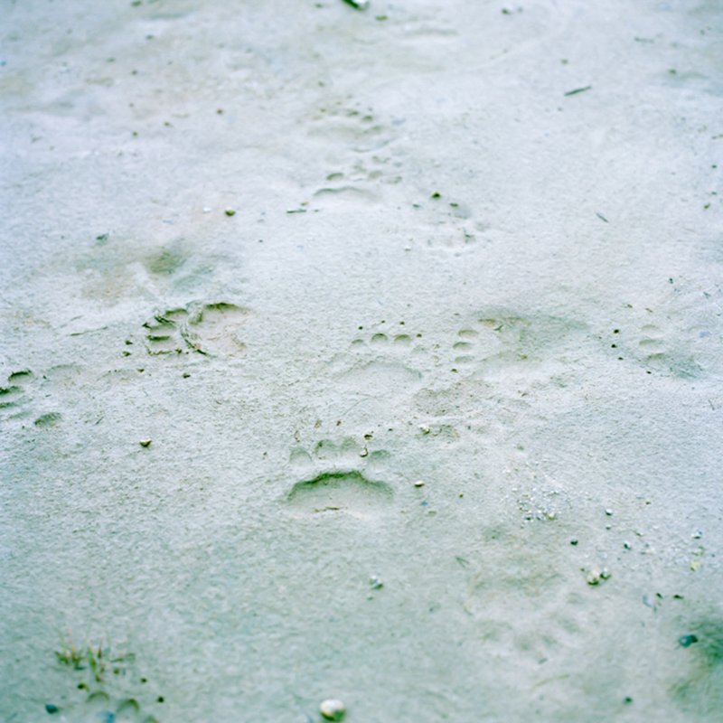 63586f83-b919-4868-a3c0-13d0902d9d13