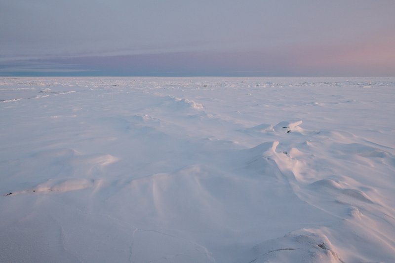 17e2e0a2-a6a3-49a3-a53b-96ce7efbe81e