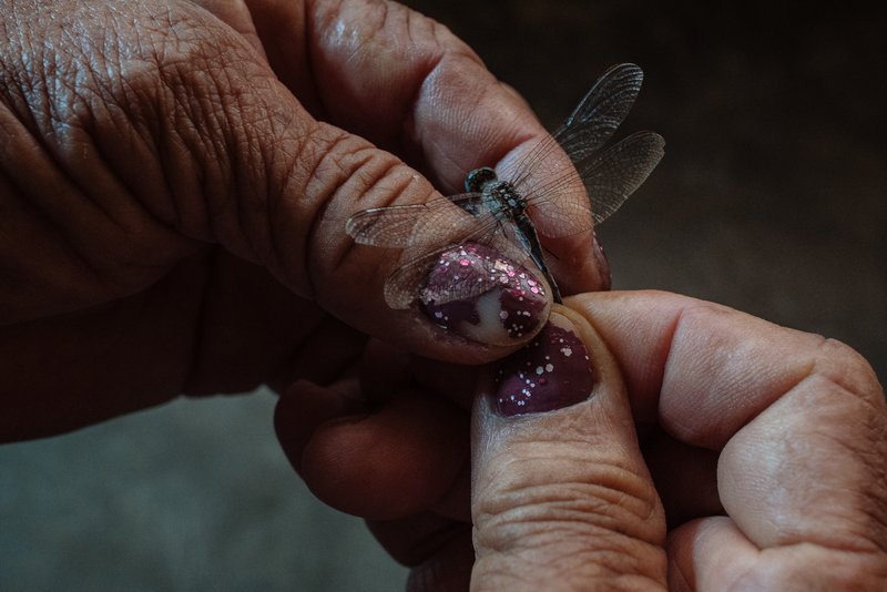 3587b379-96dd-4291-9d1d-7e12b82c1991