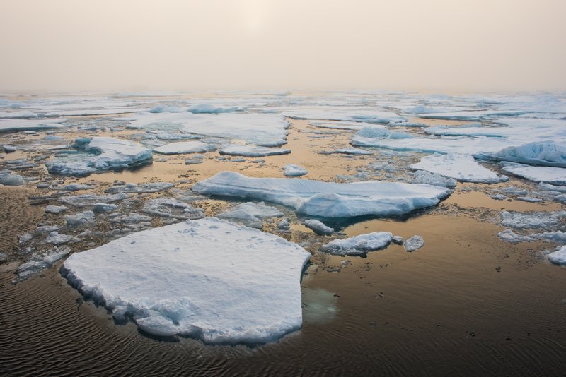 e87aaea2-f5f0-4894-a1e0-c900eca09331