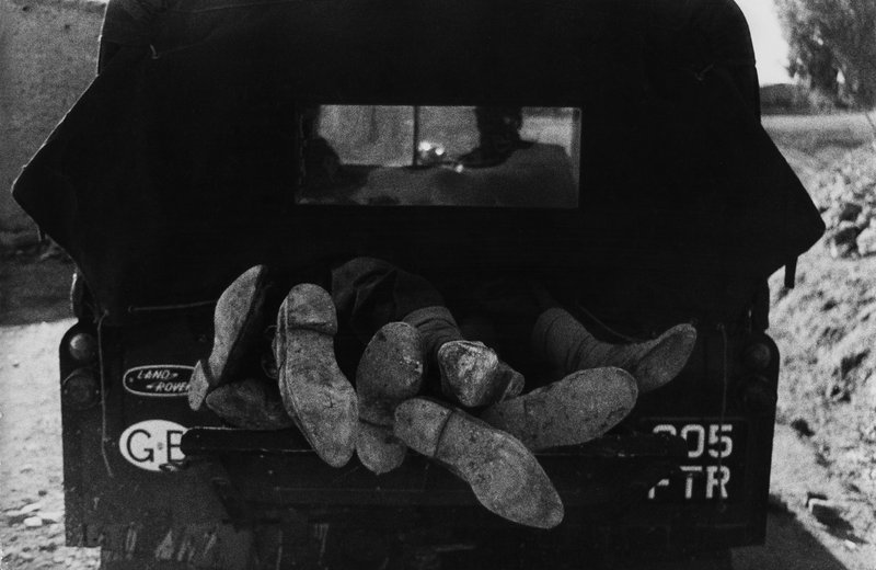 07f7cc97-1fe9-4e7d-987f-48557c794494